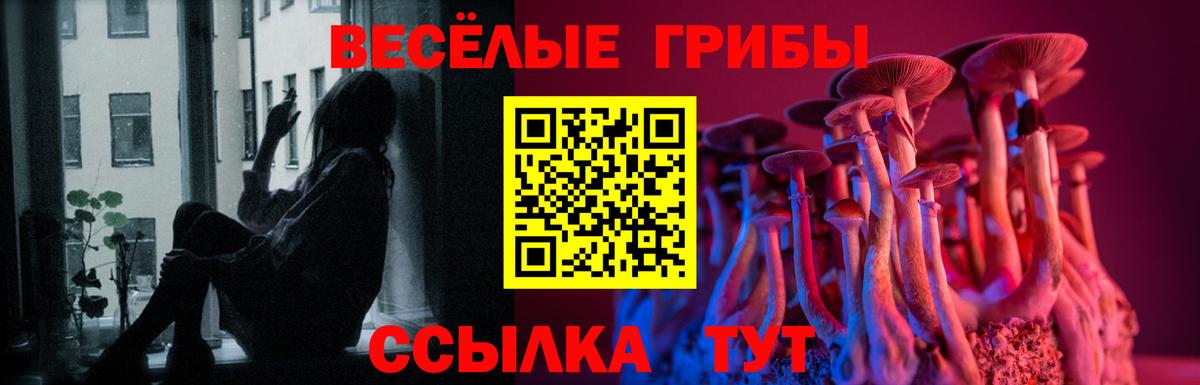 Сочи  где купить наркоту  Вход с VPN  Галлюциногенные грибы прущие грибы 
